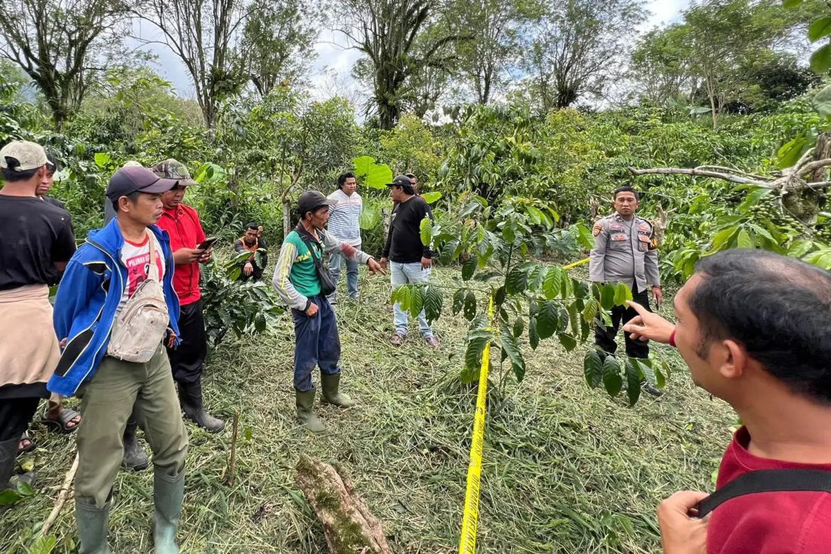 Polisi olah TKP penemuan jasad pemuda di kebun kopi dengan kondisi leher nyaris putus di Lampung Barat