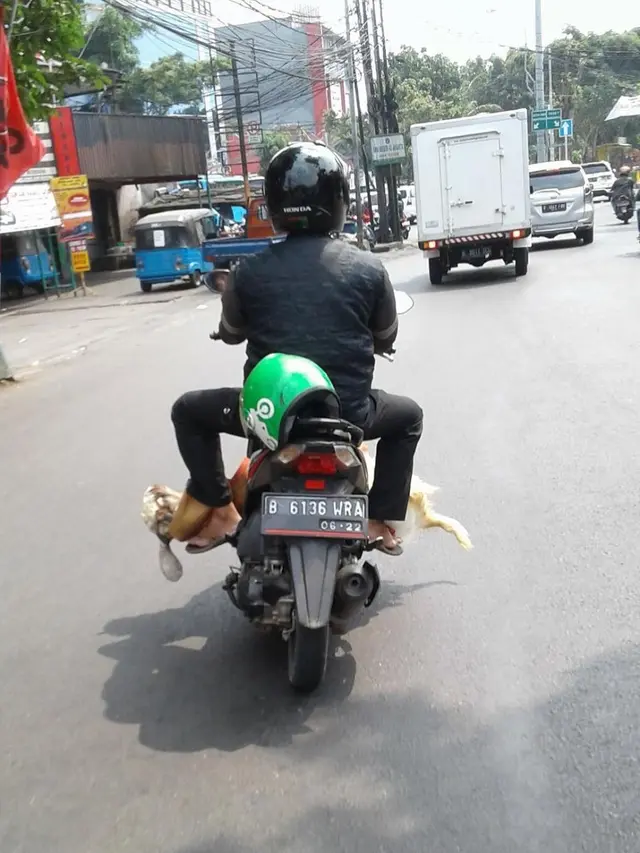 6 Potret Driver Ojek Online Antar Pesanan Kambing Kurban, Totalitas Banget