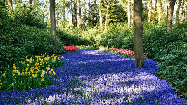 Kaukenhof