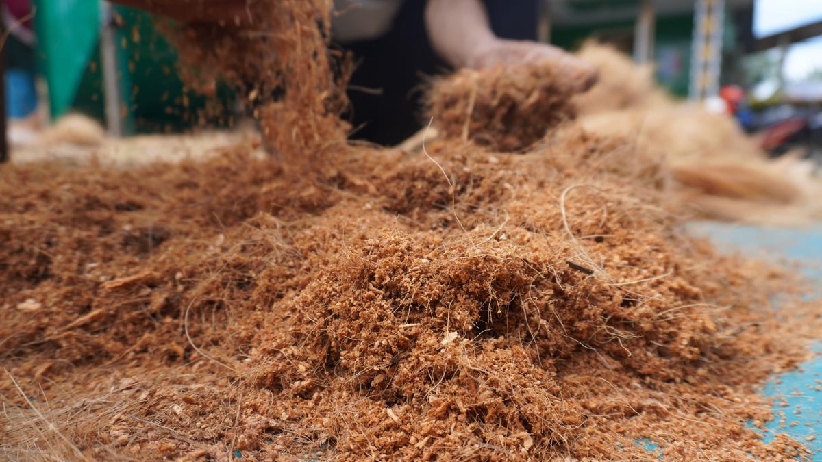 Cara Buat Cocopeat Sendiri dari Sabut Kelapa untuk Media Tanam Berkualitas