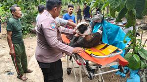 Detik-Detik Pekerja PU Bandung Tertimbun Longsor di Cisaranten