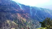 Segmen 1: Lereng Merapi Terbakar hingga Hujan Turun di Jambi