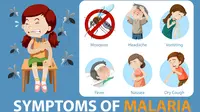 WHO Nyatakan Mesir Bebas Malaria Setelah Berjuang Selama 100 Tahun