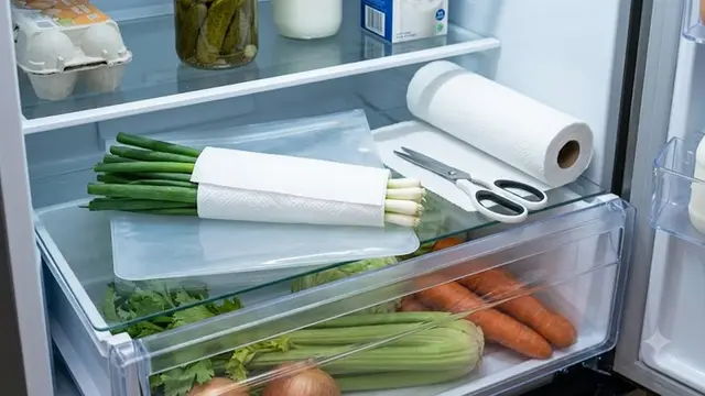 Cara Menyimpan Daun Bawang di Kulkas agar Tetap Segar hingga Dua Minggu