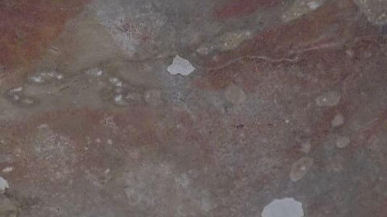 Begini Awal Mula Penetapan Taman Kehati Semen Tonasa dan Geopark Bulu Sipong Jadi Kawasan Konservasi