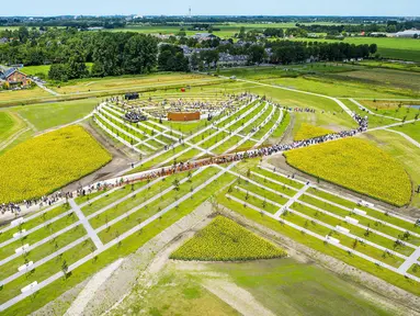 Sejumlah orang menghadiri pembukaan taman yang didedikasikan untuk para korban pesawat MH17 di Vijhuizen, Belanda, Senin (17/7). Taman itu terdiri atas 298 pohon, mewakili setiap penumpang dan kru yang tewas dalam pesawat naas itu (Frank van Beek/ANP/AFP)