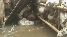liputan6