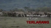 Sigi Investigasi: Menembak Rusa di Tanah Terlarang