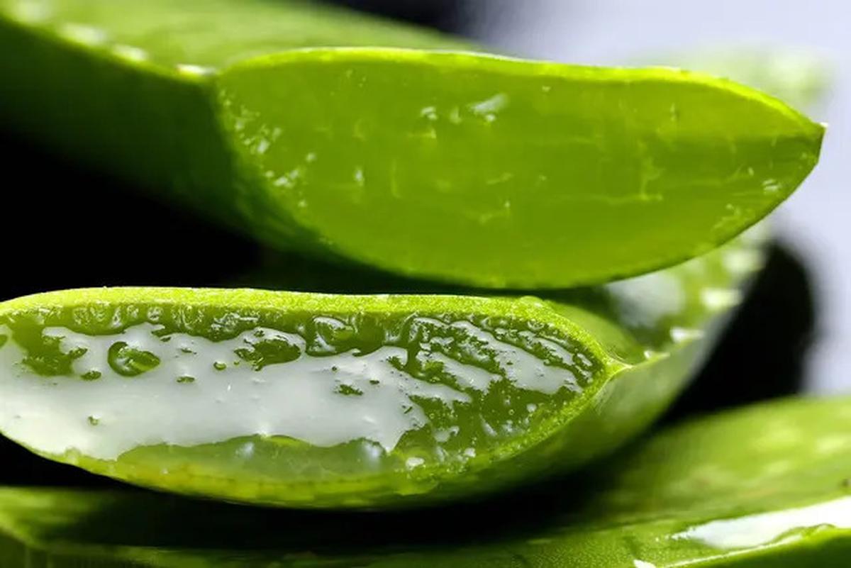 Bukan Bawang Merah! Cegah Uban di Kulit Kepala dengan Minuman Ini