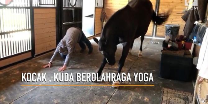 VIDEO: Kocak, Kuda Ini Berolahraga Yoga Setiap Pagi