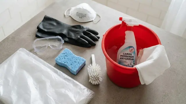 Cara Mengatasi Black Mold di Plafon Kamar Mandi