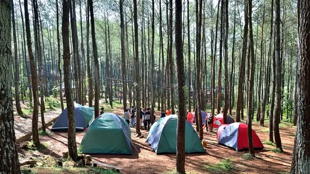 Berkemah di Puncak Becici (jelajahbantul.bantulkab.go)