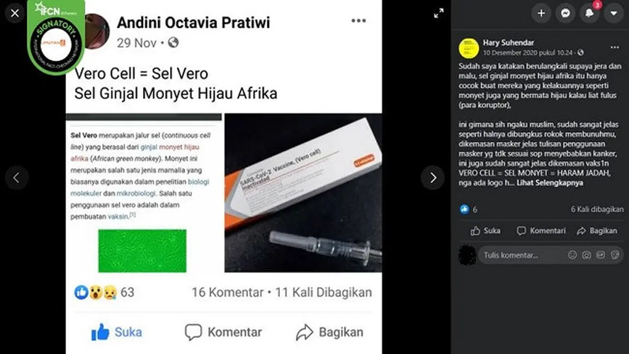 Gambar Tangkapan Layar Foto Vaksin Sinovac (sumber: Facebook)