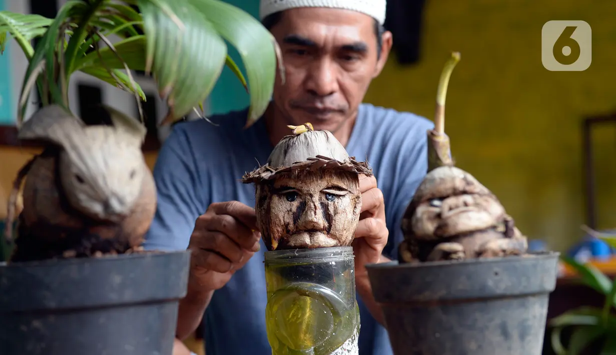 Seniman, Herman Ronda (49) menyelesaikan bibit pohon kelapa untuk dijadikan bonsai di Pondok Benda Pamulang, Tangerang Selatan, Selasa (13/10/2020). Budidaya bonsai tanaman kelapa semakin digemari untuk memanfaatkan waktu dengan harga dari Rp 250 ribu hingga Rp 500 ribu. (merdeka.com/Dwi Narwoko)