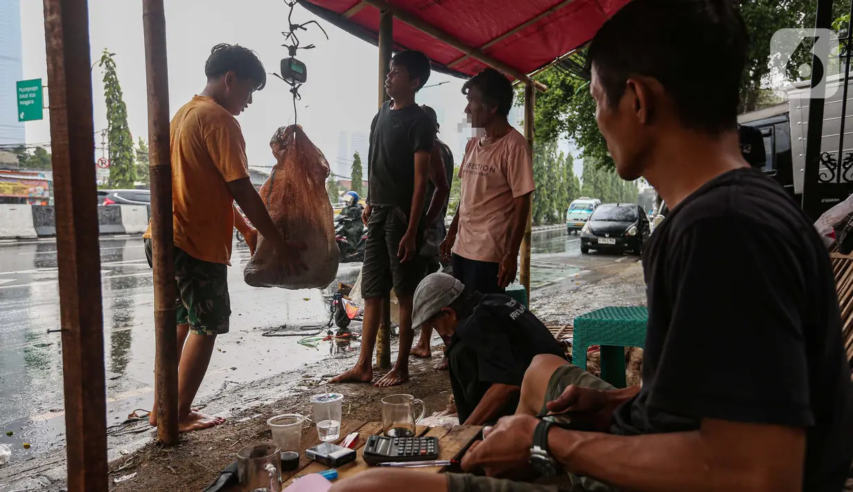 Biasanya, kulit-kulit tersebut diolah menjadi beduk, jaket hingga kerupuk. (Liputan6.com/Angga Yuniar)