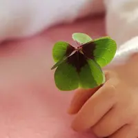 short desc