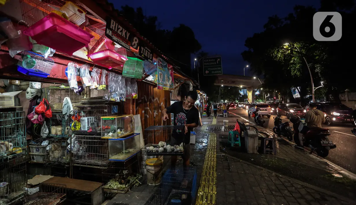 Aktivitas pedagang di Pasar Hewan Barito, Jakarta Selatan, Senin (8/3/2021). Pedagang di pasar yang menjual aneka hewan peliharaan itu mengalami penurunan omset selama pandemi corona, meski demikian mereka mengaku tetap bersyukur masih diizinkan berjualan. (Liputan6.com/JohanTallo)