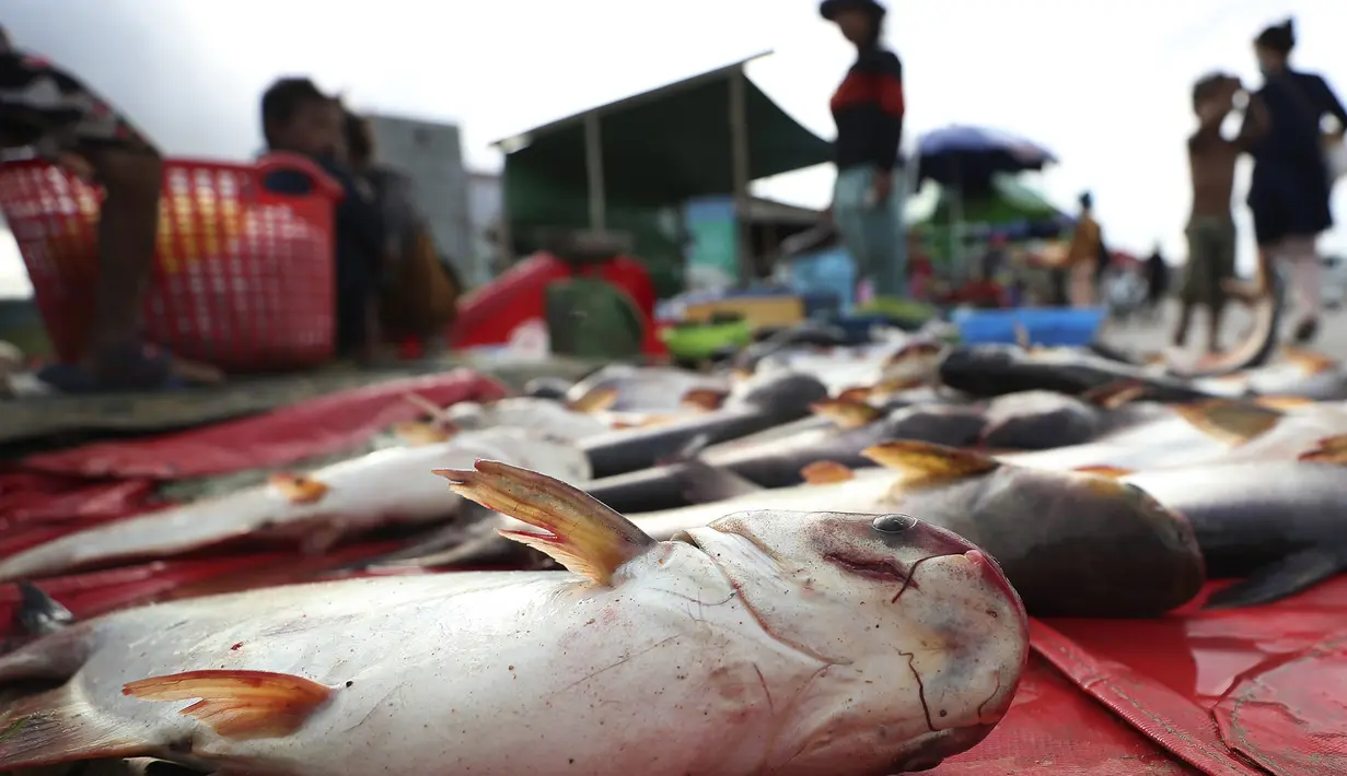 Pedagang menjual ikan di sepanjang trotoar dekat desa Prek Pnov di Phnom Penh, Kamboja, Kamis (5/8/2021). Prek Pnov terkenal dengan peternakan ikannya dan memasok banyak pasar di Phnom Penh. (AP Photo/Heng Sinith)