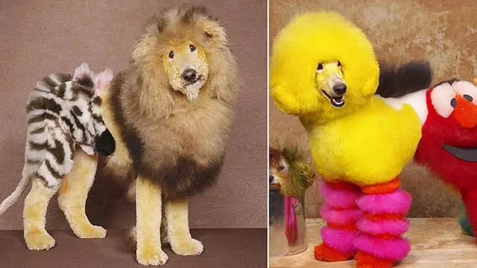 Foto: dailymail.co.uk