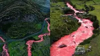 Potret Penampakan Sungai Berubah Jadi Merah Darah Setiap Tahun, Fenomena Alam Unik (Sumber: Oddity Central)