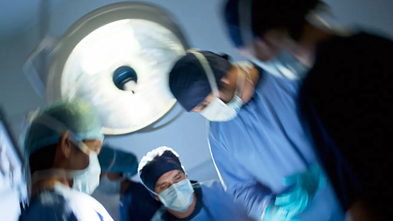 Kontroversi dan Harapan di Balik Transplantasi Kepala Monyet