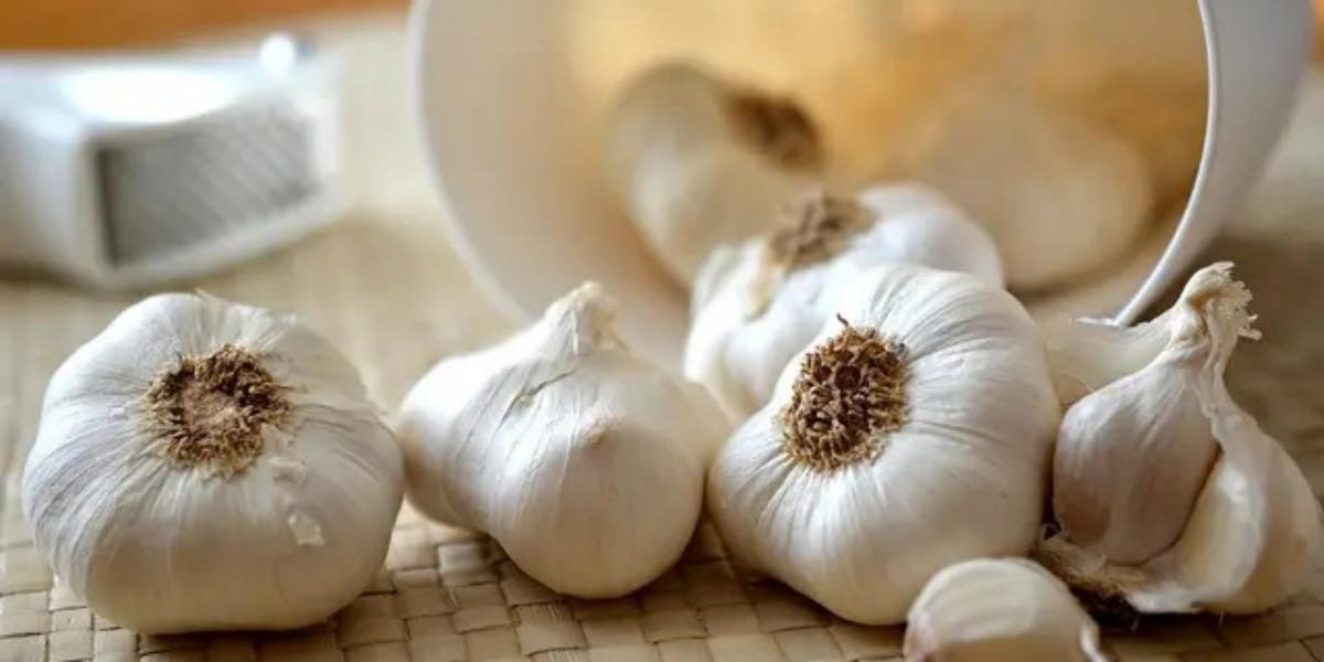 7 Bahan Dapur yang Ampuh untuk Mengusir Ular di Rumah