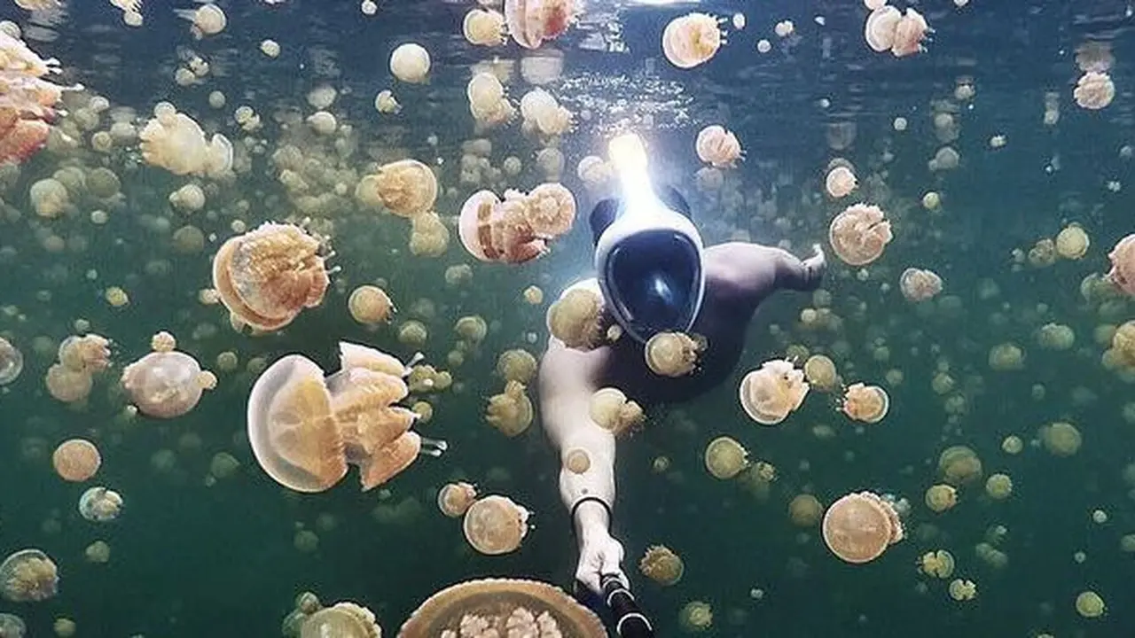 Danau Lenmakana, Raja Ampat
