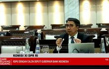 Solikin Juhro Calon Deputi Gubernur BI Peringatkan Turbulensi Ekonomi Dunia 2026, Dari VUCA ke TUNA