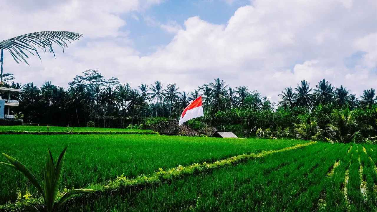 Ilustrasi Bendera Indonesia