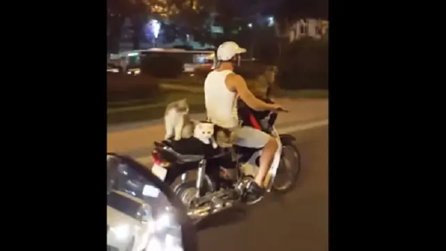 Kocak, Sejumlah Hal Absurd Ini Juga Bisa Diboncengi Dengan Motor