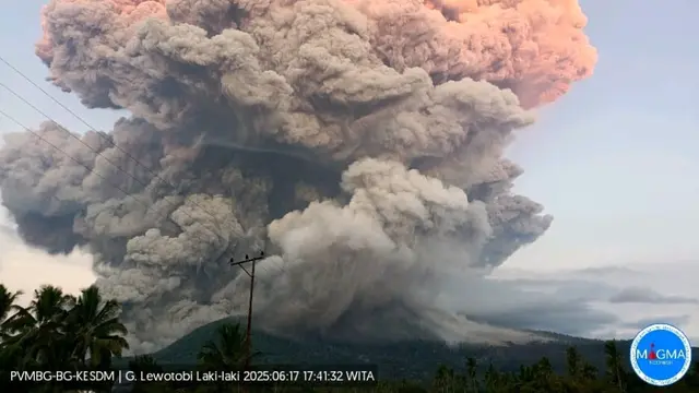 Imbas Erupsi Gunung Lewotobi Laki-laki, Kemenhub Siagakan Kapal Angkut Turis dan Warga