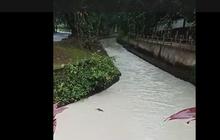 Cerita Warga Cium Bau Menyengat Minyak Tanah Air PDAM Usai Gudang Pestisida Terbakar Cemari Sungai Cisadane