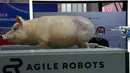 Seorang pria melihat robot tangkas menunjukkan kemampuannya melacak bokong babi replika untuk melakukan suntikan antibiotik saat Konferensi Robot Dunia di Yichuang International Conference and Exhibition Centre, Beijing, China, 19 Agustus 2022. (AP Photo/Ng Han Guan)