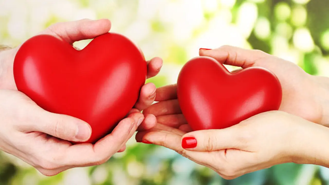 Foto: Shutterstock