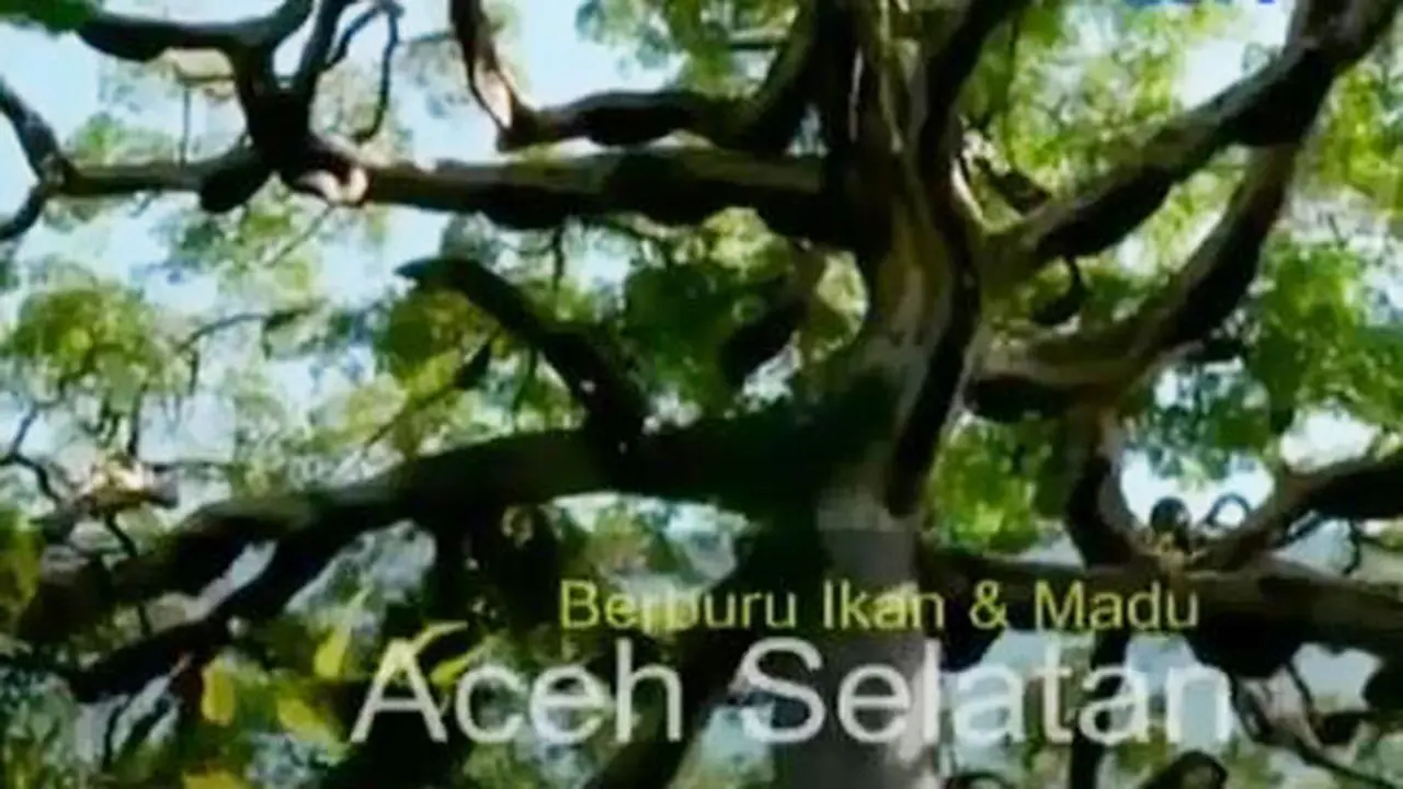 Segmen 3: Destinasi Wisata di Aceh Selatan