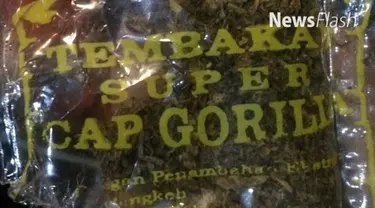 Badan Narkotika Nasional (BNN) menggolongkan tembakau gorila sebagai New Psychoactive Substances (NPS). Sebuah narkotika jenis baru yang memiliki efek halusinasi membahayakan.