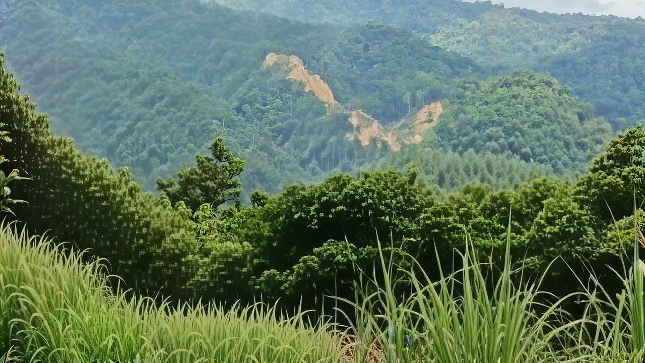 Gunung Kamarora di Sigi longsor akibat gempa Palu