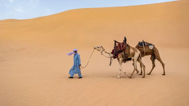 Jelajahi gurun pasir terkenal di dunia