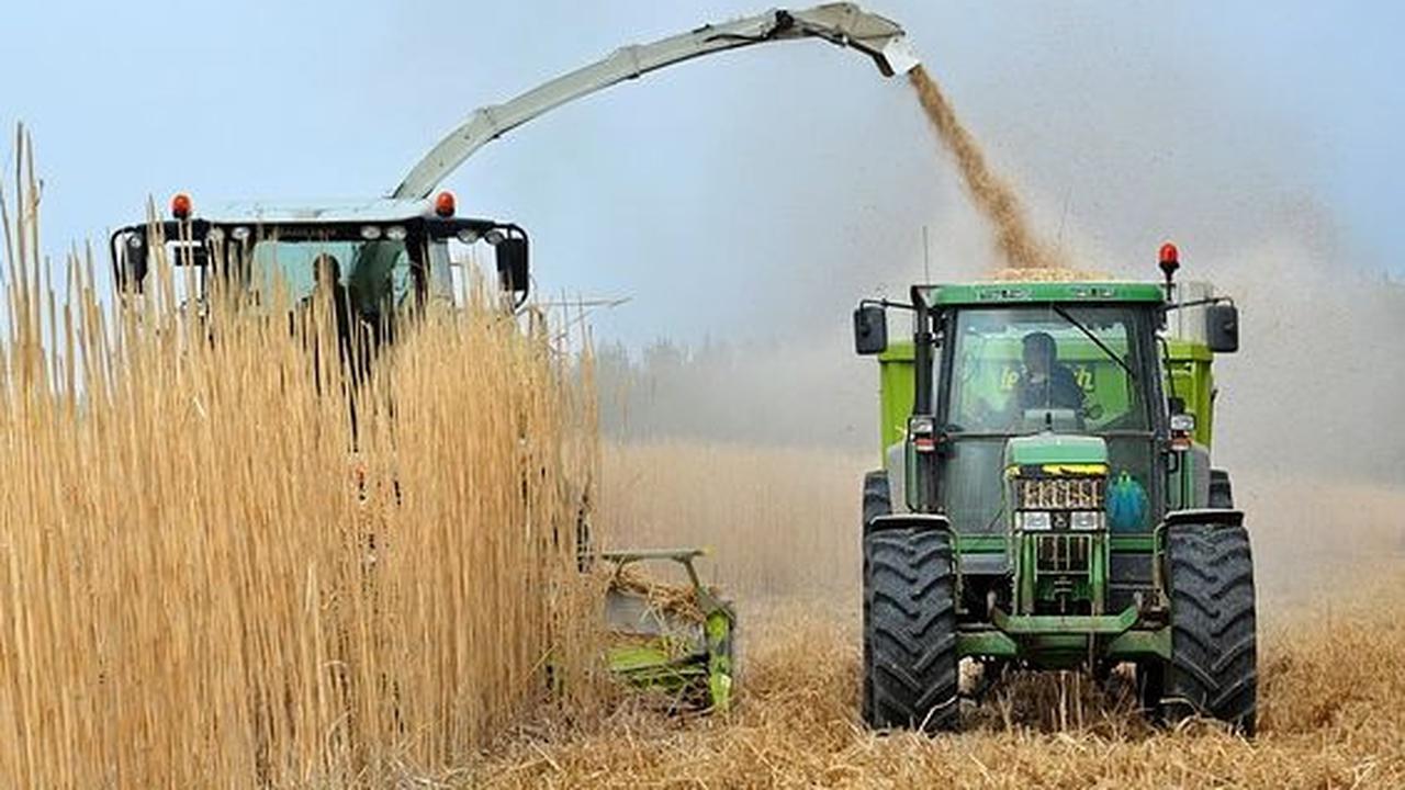 Penggunaan Biodiesel