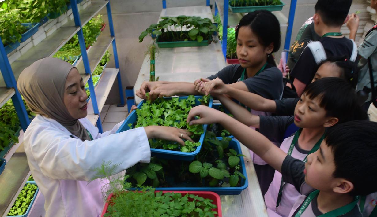 Inisiatif ini bertujuan untuk meningkatkan kesadaran akan ketahanan pangan dan keberlanjutan lingkungan di area perkotaan padat. Tampak dalam foto, pelajar dari salah satu sekolah dasar menyimak penjelasan terkait pola dan sistem pertanian hidroponik di Ladang Farm, Lebak Bulus, Jakarta, Kamis (30/4/2026). (merdeka.com/Arie Basuki)