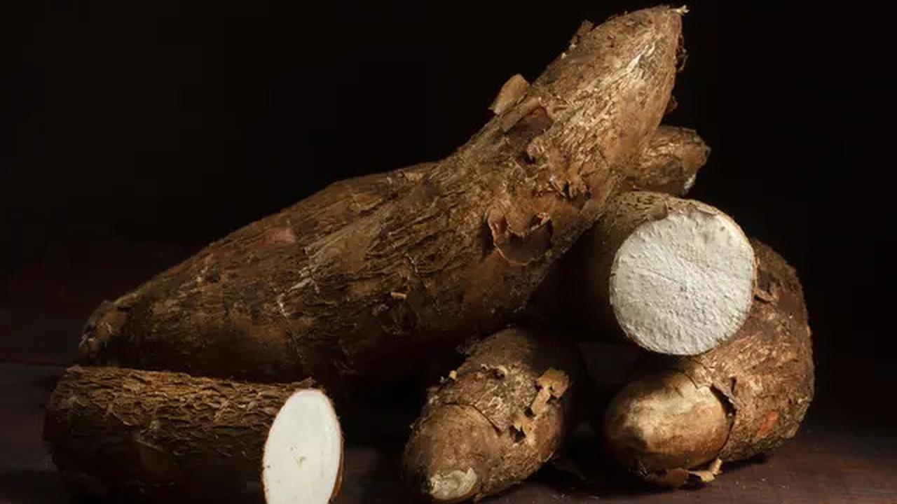 Cara Menggoreng Singkong Agar Merekah dan Renyah dengan Satu Bahan Dapur