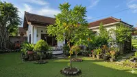 7 Tanaman Buah untuk Pekarangan Tanpa Khawatir Akar Menjalar, Tak Merusak Fondasi Rumah