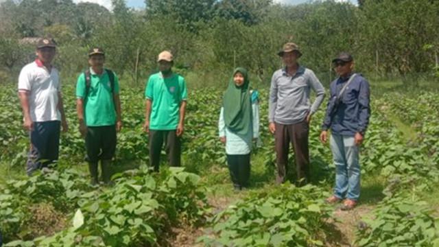 Terobosan Desa Jangkang Satu Sulap Semak Belukar Jadi Lahan Pertanian Yang Produktif News Liputan6 Com