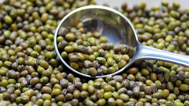 kacang hijau