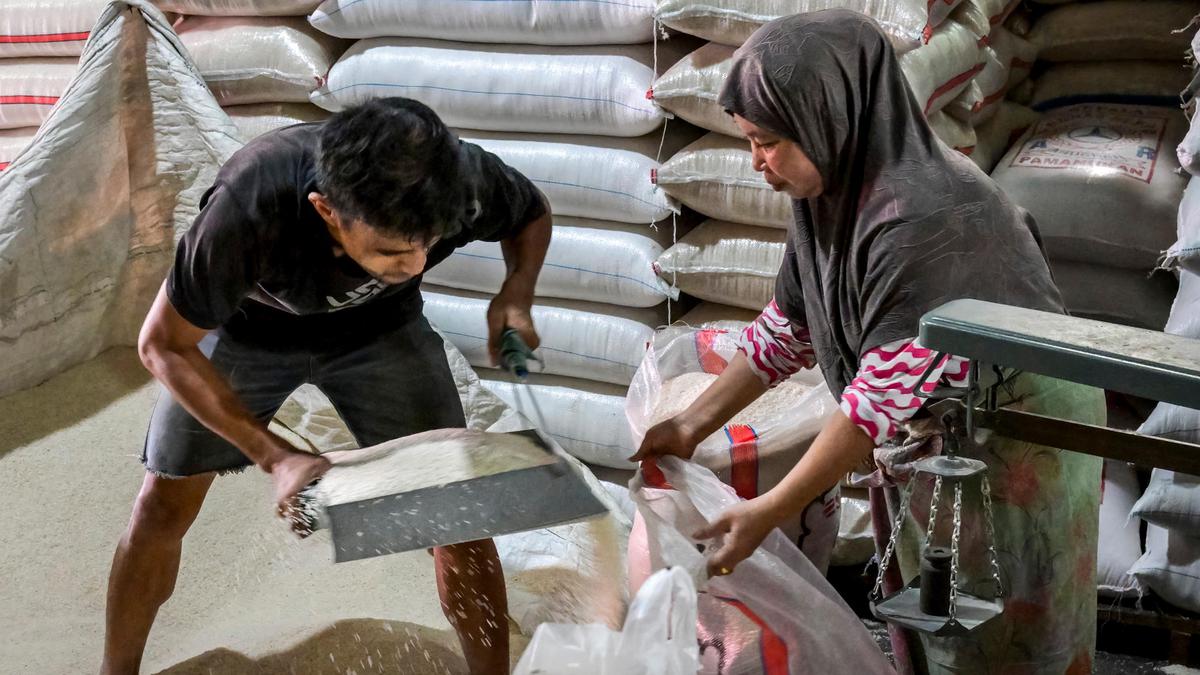 Indonesia Tak Impor Beras pada 2025, Ini Alasannya