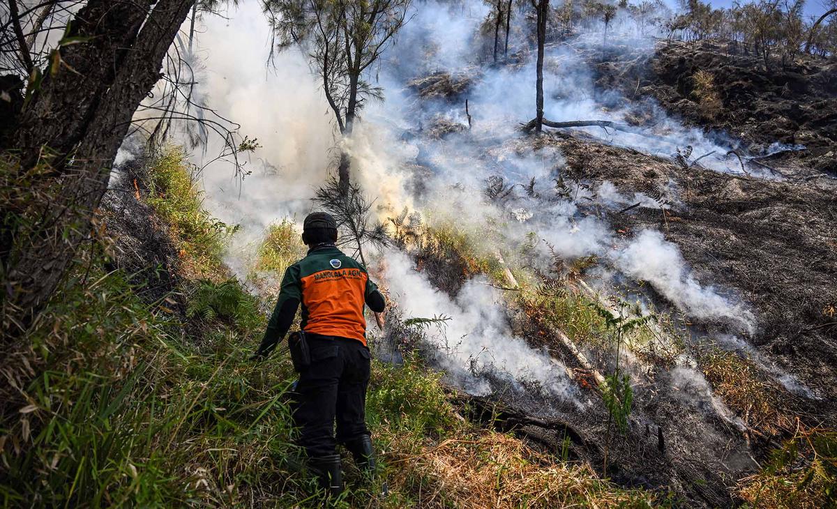 Pemadaman Terus Dilakukan Cegah Api Meluas di Gunung Bromo