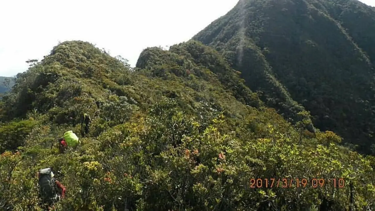 Gunung Kurik