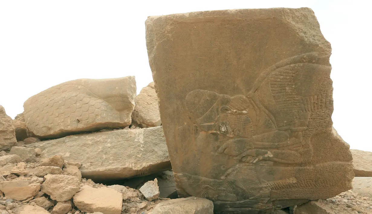 Reruntuhan patung makhluk bersayap yang dihancurkan ISIS di situs kuno Nimrud. selatan Mosul, Irak, (16/11). Situs kuno Nimrud menyimpan berbagai patung-patung makhluk bersayap yang beraada di depan pintu gerbang istana. (REUTERS/Ari Jalal)