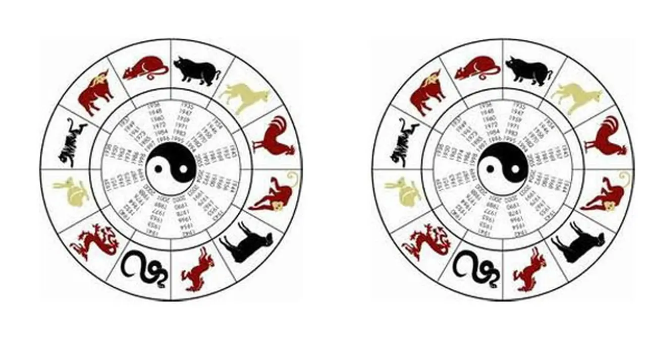 (C) shio-togel.com