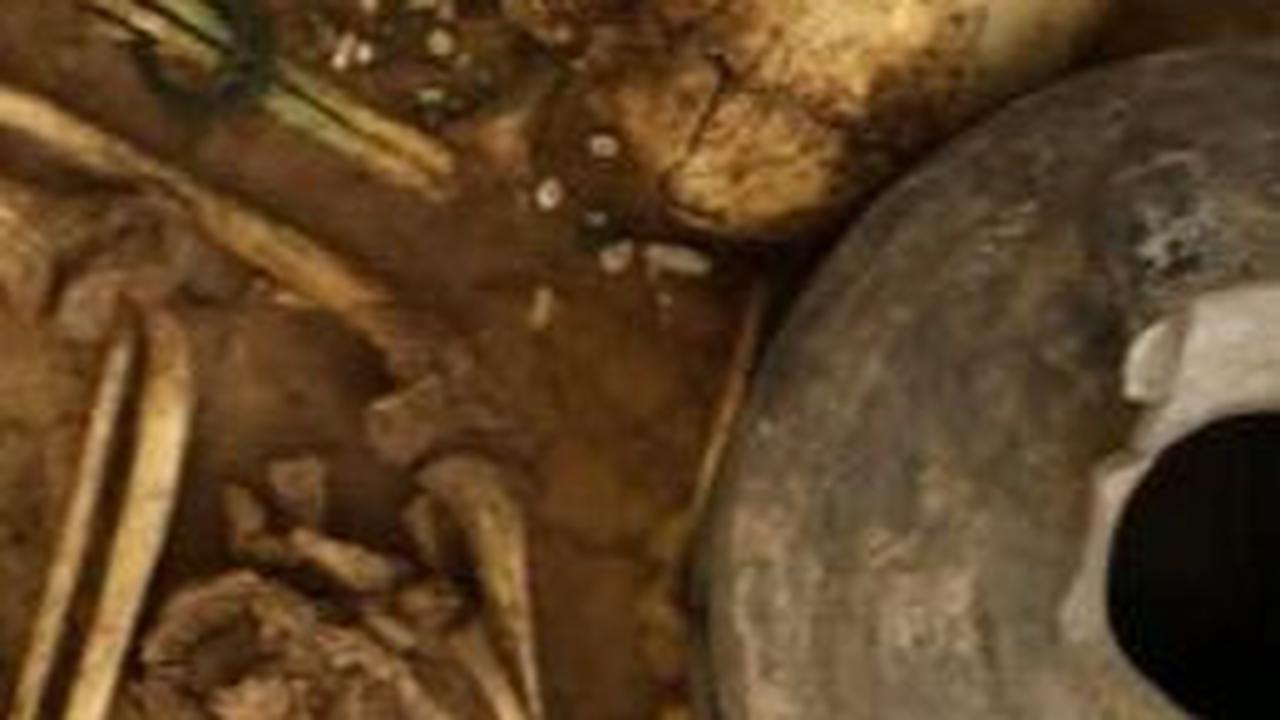 Mencekam, Makam Kuno Ini Berisi Sisa-Sisa Tulang Bocah Berusia 3.000 Tahun Bersama Kerangka Kuda Berhias Kalung Perunggu